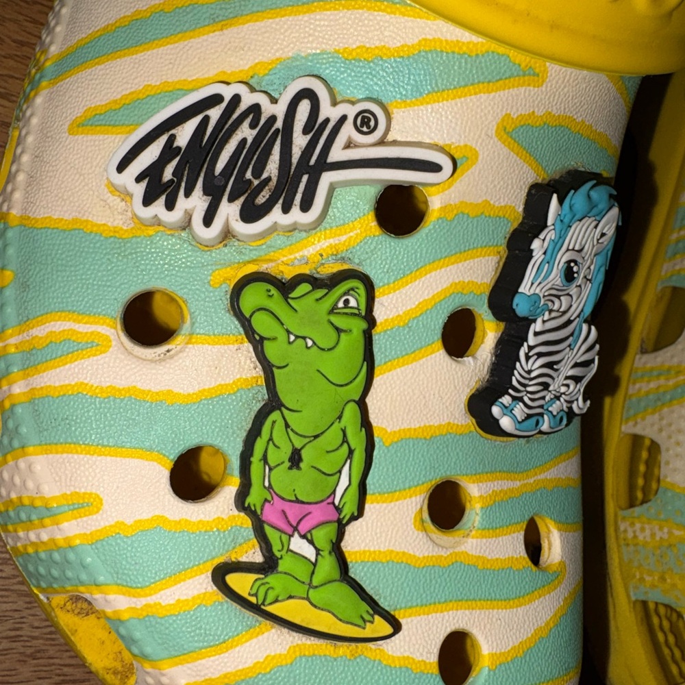 Blue Zebra Graphic Crocs